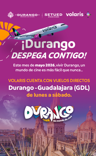 310x500_volaris26